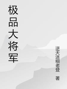 极品大将军小说